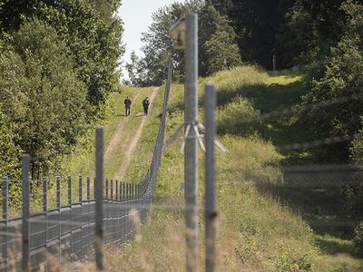 Границу с Белоруссией постоянно патрулируют несколько сотен военных Литвы - командующий - Литва и страны Балтии