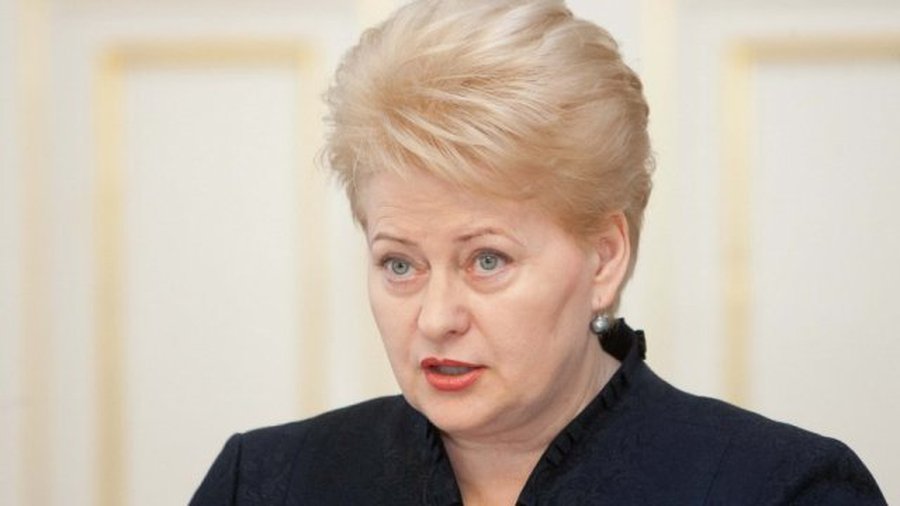 Президент Литвы: Наш опыт показывает, что из экономической ямы можно быстро выбраться
 - Литва и страны Балтии