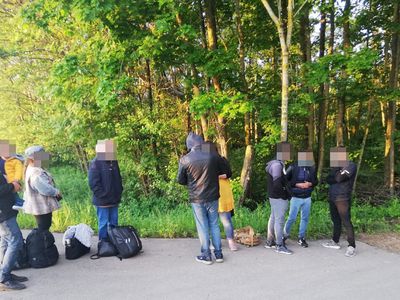 Около трети нелегальных мигрантов могут остаться в Литве - департамент миграции - Литва и страны Балтии