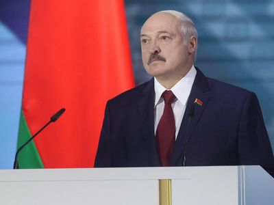 Лукашенко предложил Литве заняться своими, а не белорусскими проблемами - В Мире
