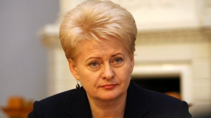 Глава Литвы предложила Евросоюзу рецепт борьбы против безработицы среди молодежи - Мир молодежи