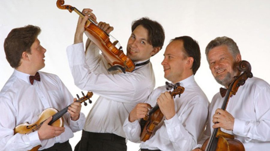 Klasikinės muzikos vakaras „Senuosius palydint“ - Visagine