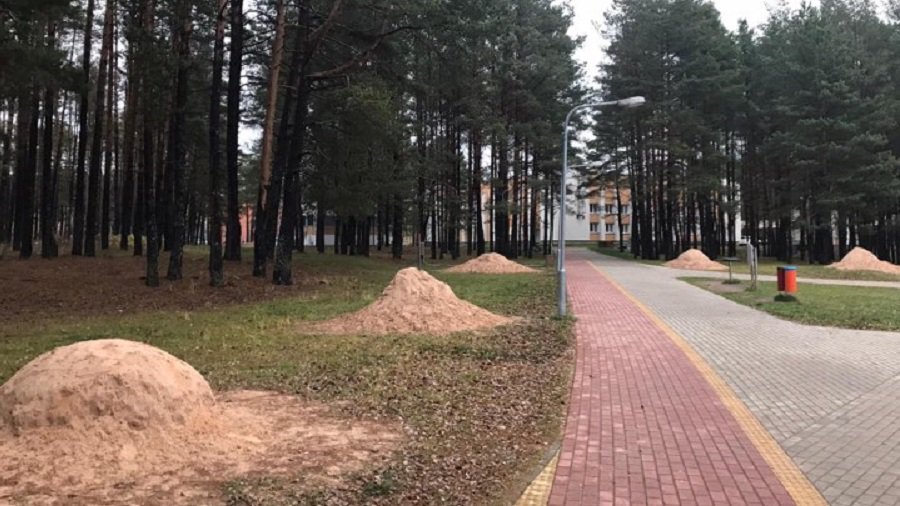 Когда уберут песок, оставшийся от песчаных скульптур? - В Висагинасе
