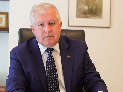 А. Анушаускас о всеобщем призыве: говорить об этом вынуждает демографическая ситуация - Литва и страны Балтии