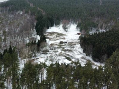 Вырубка деревьев проведена незаконно. Строительство горки - пример лицемерного отношения к людям (видео) - Без цензуры