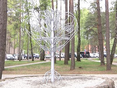 В Висагинасе появилось «Дерево любви»
 - В Висагинасе