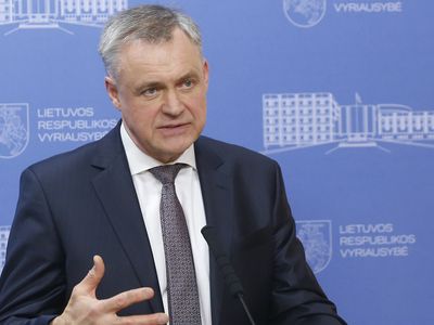 Р.Даргис: это правительство расшевелило вещи, которые не трогались годами - Литва и страны Балтии