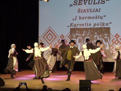 Висагинский фестиваль «Соседушка, будь здоров» показал высший пилотаж (видео) - В Висагинасе
