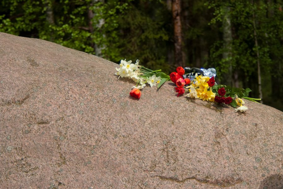Приглашаем висагинцев отметить День Победы - В Висагинасе