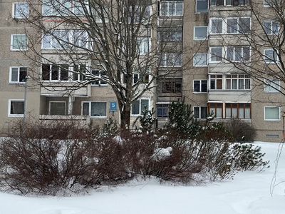 От анонимного письма до Конституционного суда: финал истории улицы Тарибу (добавлено видео) - В Висагинасе