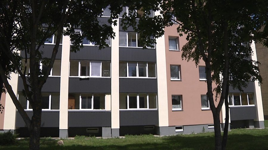 Модернизация домов в Висагинасе: Долго запрягаем, а с места не трогаемся? 
 - В Висагинасе