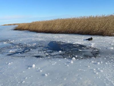 Рыбалка на озере Смальвишкис закончилась трагедией - Происшествия и криминал