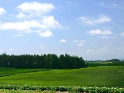 Либералы оспорят решение провести в Литве референдум о продлении запрета продажи земли иностранцам
 - Литва и страны Балтии