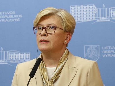 Литва будет настаивать на финансировании ЕС проекта заграждения на границе с Белоруссией - Литва и страны Балтии