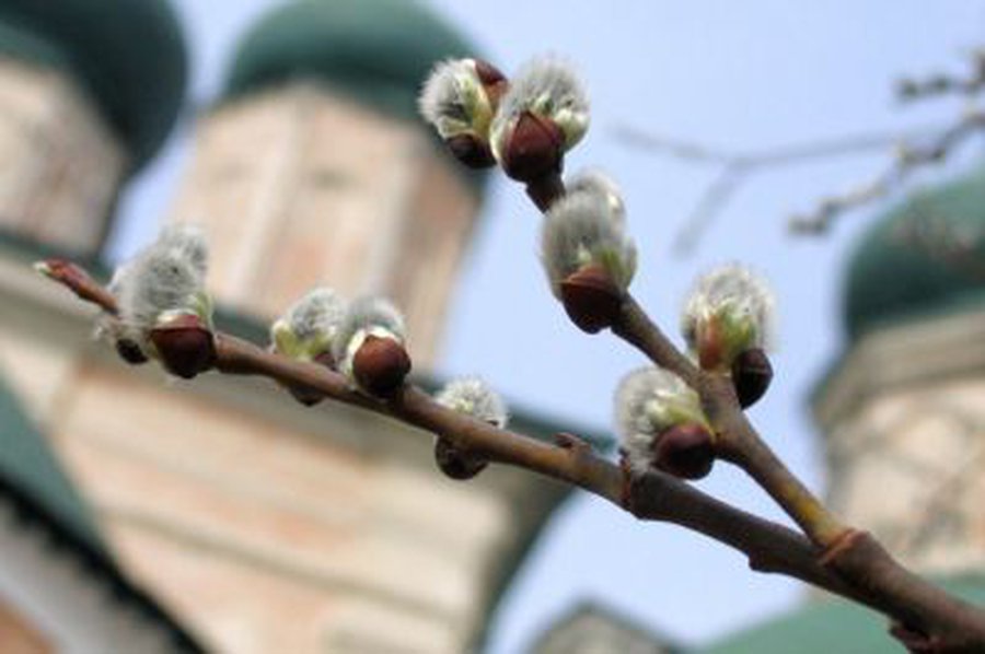 Расписание богослужений                                 - В Висагинасе