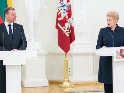 Политолог: возможно, С.Сквернялис спутал Д.Грибаускайте с Л.Граужинене - Литва и страны Балтии