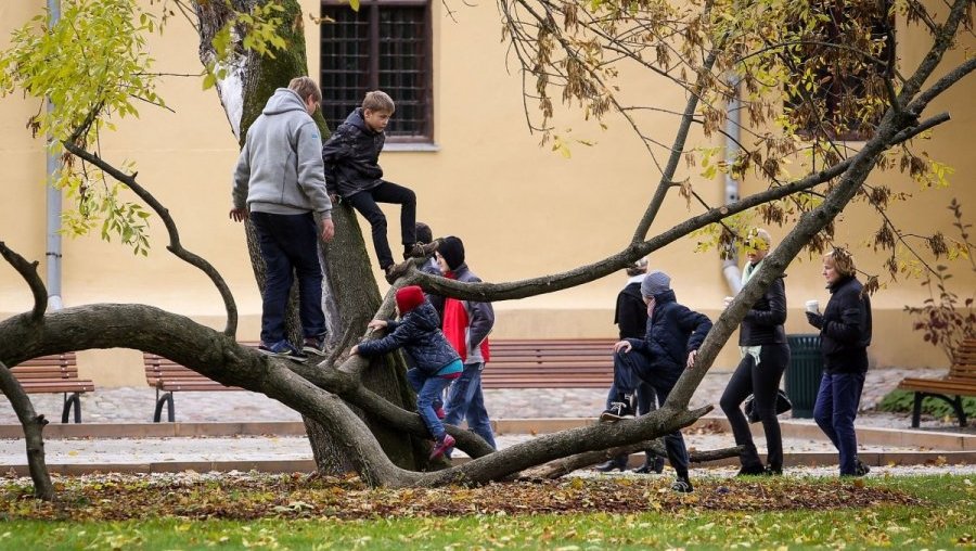 Savaitės orai: vieni apsižiaugs, kiti – ne - Lietuva ir Baltijos šalys