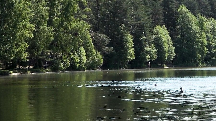 Где в Европе самая чистая вода для купания? Какое место занимает Литва? - В Мире