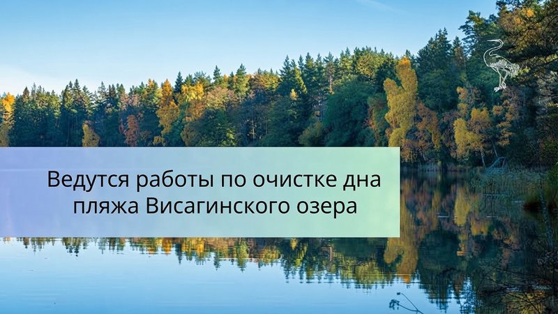 Работы по очистке дна на пляже Висагинского озера - В Висагинасе
