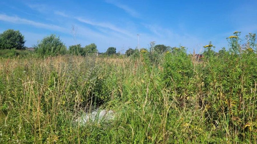 Apie apleistus žemės sklypus reikėtų pranešti savivaldybei - Lietuva ir Baltijos šalys