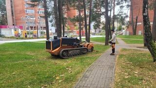 Iki spalio 16 d. Visagine šalinami kelmai