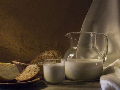 Молоко и хлеб могут заменить энергетические коктейли - Наука и здоровье