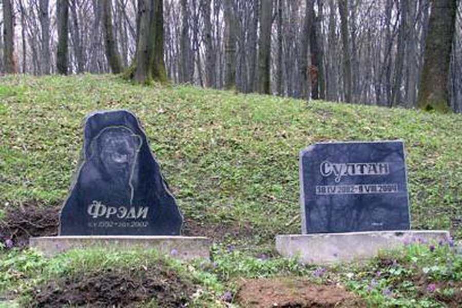 В Вильнюсе появится первое легальное кладбище домашних животных - Литва и страны Балтии
