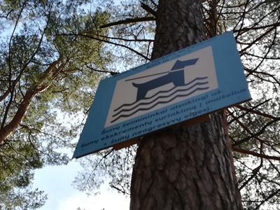 Место для купания собак выбрано. Довольны не все - В Висагинасе