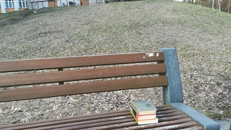 Где мини-библиотечка? Принесенные книги люди вынуждены оставлять на скамейке - В Висагинасе
