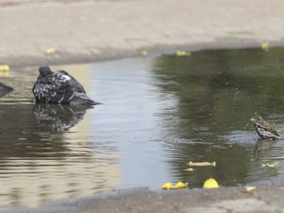 По-прежнему будет холодно, потеплеет только к выходным - Литва и страны Балтии