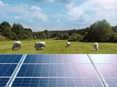 Aura Power продолжает проект строительства парка солнечной электростанции в Дукштасе - Энергетика