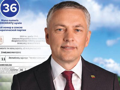 Борис Лукошков, Татьяна Башмакова, Денис Найденов: наш выбор – Витаутас Бакас - Выборы 2024