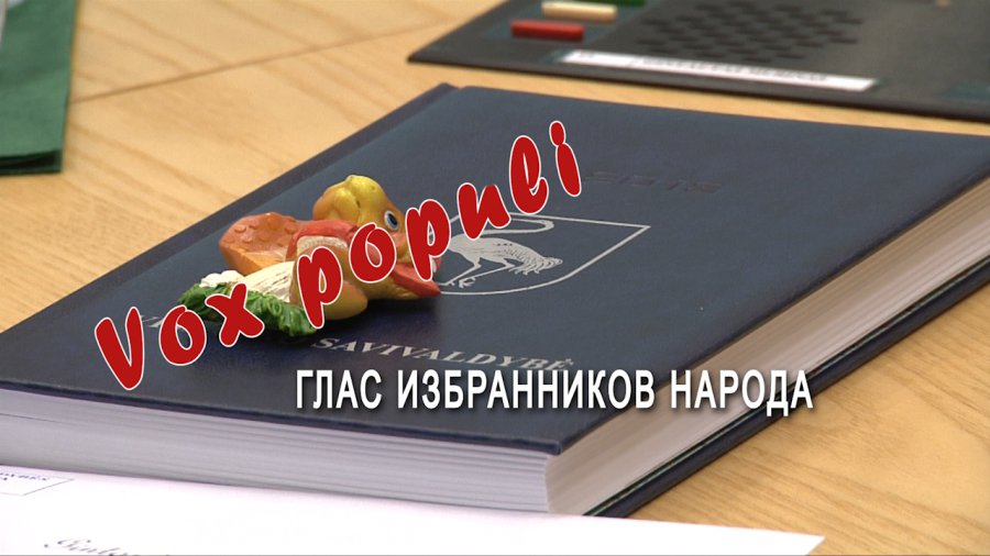 Глас избранников народа о 2013 годе - В Висагинасе
