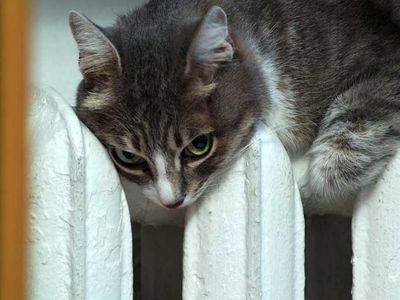 Плата за отопление для некоторых жителей Литвы больше их зарплат - Литва и страны Балтии