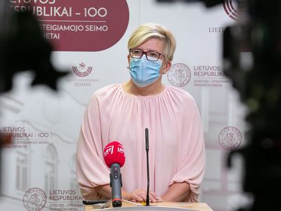 И. Шимоните: прошу хорошо обдумать необходимость воспользоваться разрешенными услугами - Литва и страны Балтии