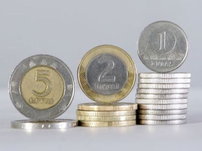 Налоговые льготы на отопление и лекарства остаются, на мясо — нет
 - Литва и страны Балтии
