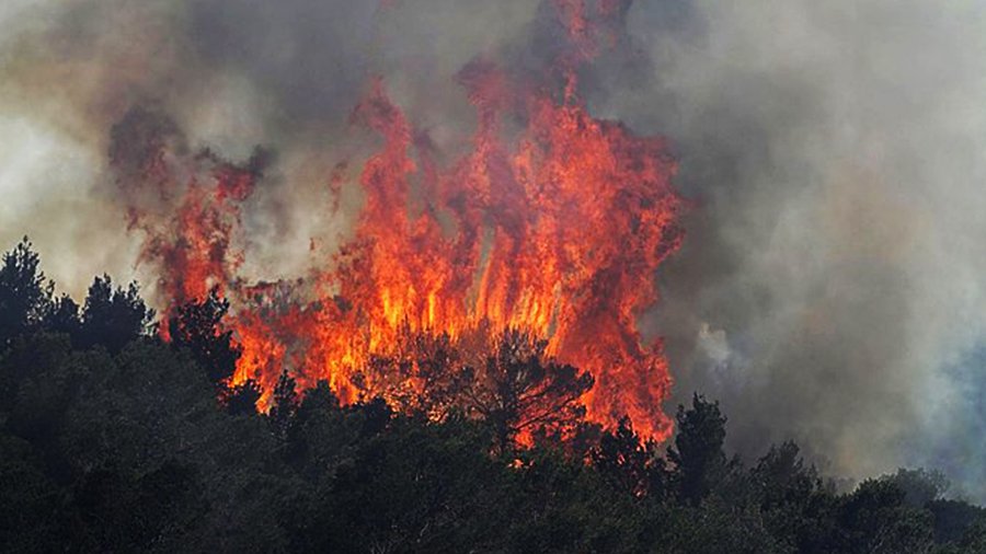 Ispanijoje dega miškas, netoli Valensijos evakuojami gyventojai - Pasaulyje