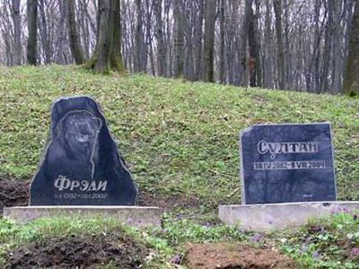 В Вильнюсе появится первое легальное кладбище домашних животных - Литва и страны Балтии