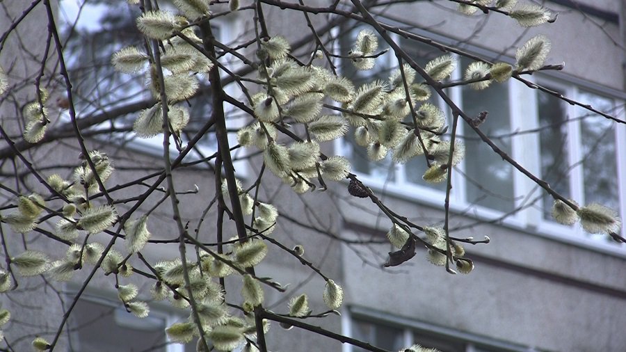 Погода: в скором времени тепло уйдет из Литвы - Литва и страны Балтии