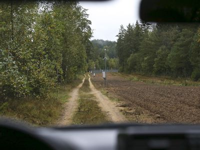 Из Беларуси в Литву пограничники не впустили 20 нелегальных мигрантов - Литва и страны Балтии
