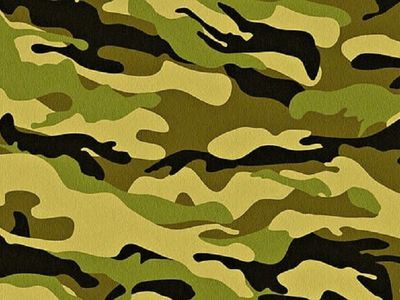Организации призывают к обсуждению вопроса о включении женщин в призывные списки - Литва и страны Балтии