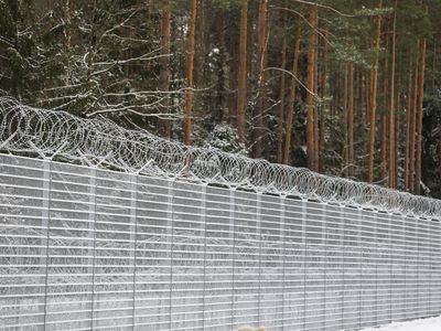 Сейм продлил чрезвычайное положение на границе с Россией и Беларусью - Литва и страны Балтии