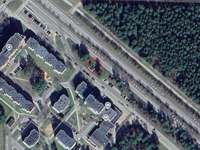 В Висагинасе организовано еще одно место для кормления (отдыха) бездомных кошек - В Висагинасе