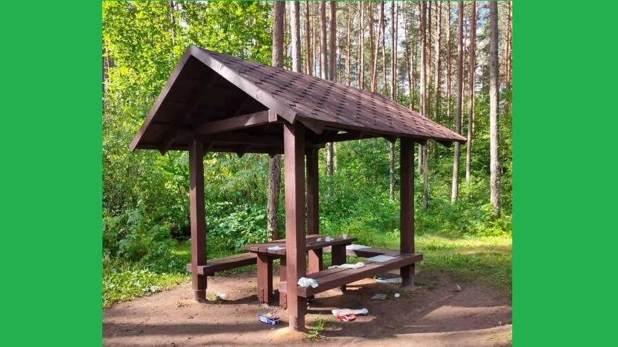 Спустя месяц, новые места отдыха утратили свою красоту - В Висагинасе