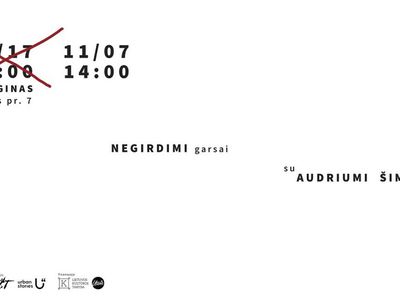 Kūrybinės garso dirbtuvės „Negirdimi garsai Visagine“ su Audriumi Šimkūnu - Visagine