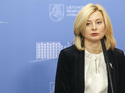 Тамашунене: нацменьшинства ждут закон и государственный экзамен по родному языку - Литва и страны Балтии
