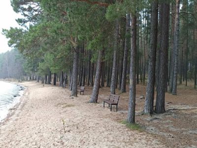 Pristatomas parengtas vidinės miškotvarkos projektas - Visagine