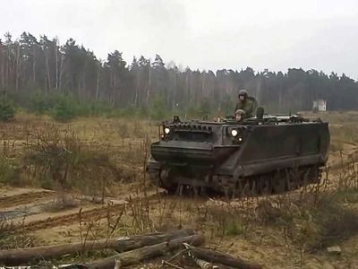 В районе города Пабраде проходят учения НАТО с участием около 4 тыс. военнослужащих из 11 стран - Литва и страны Балтии