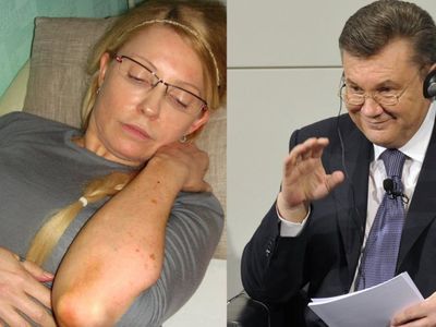 
V. Janukovyčius: Ukrainos įstatymai neleidžia suteikti malonės J. Tymošenko - Pasaulyje