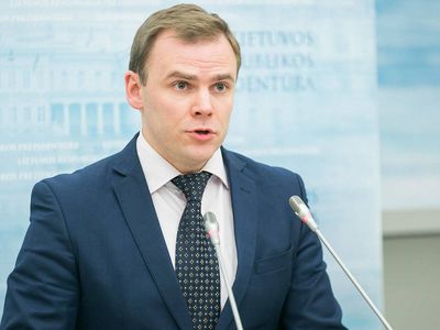 Референдум превращается в средство для подтверждения воли политиков - Литва и страны Балтии